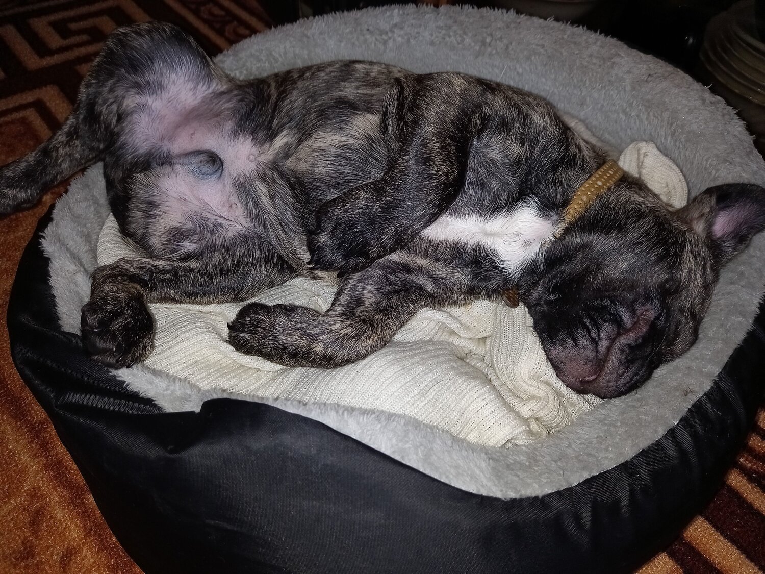 Photo #7602176