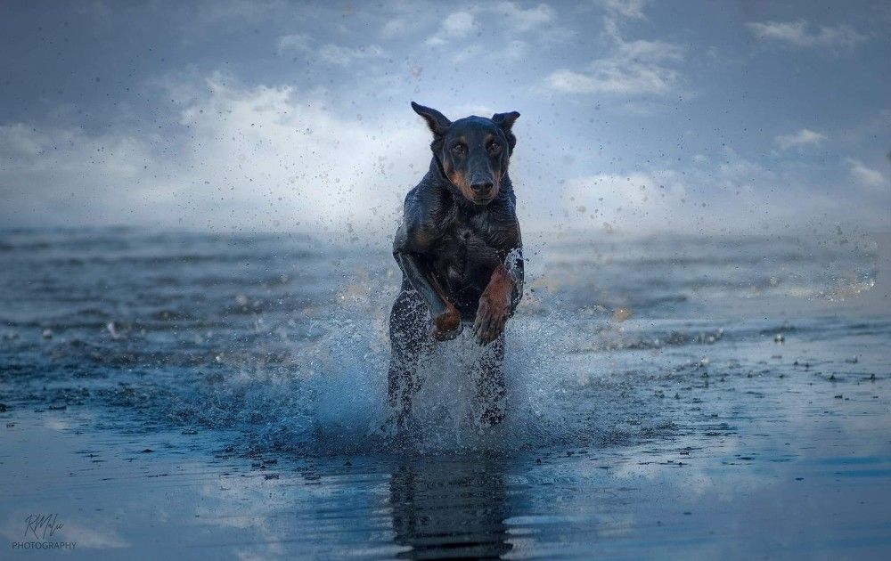 Photograph by Radenko Malić