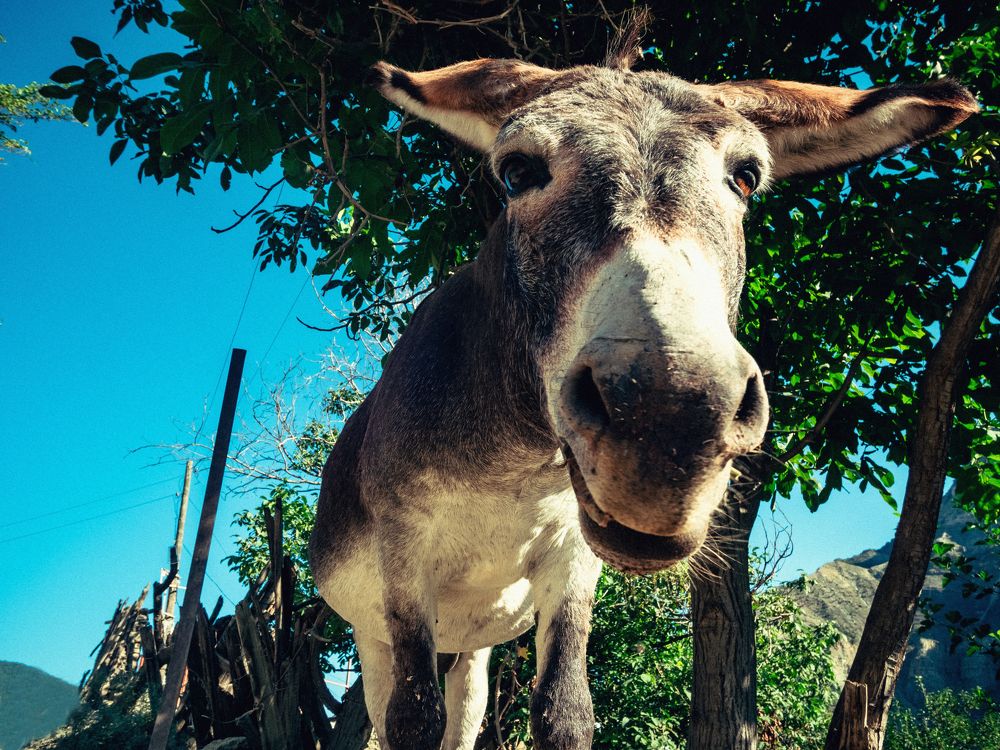 Photograph by Данил Прокопенко