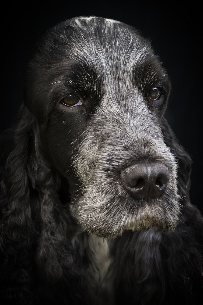 Photograph by Galina Livernette