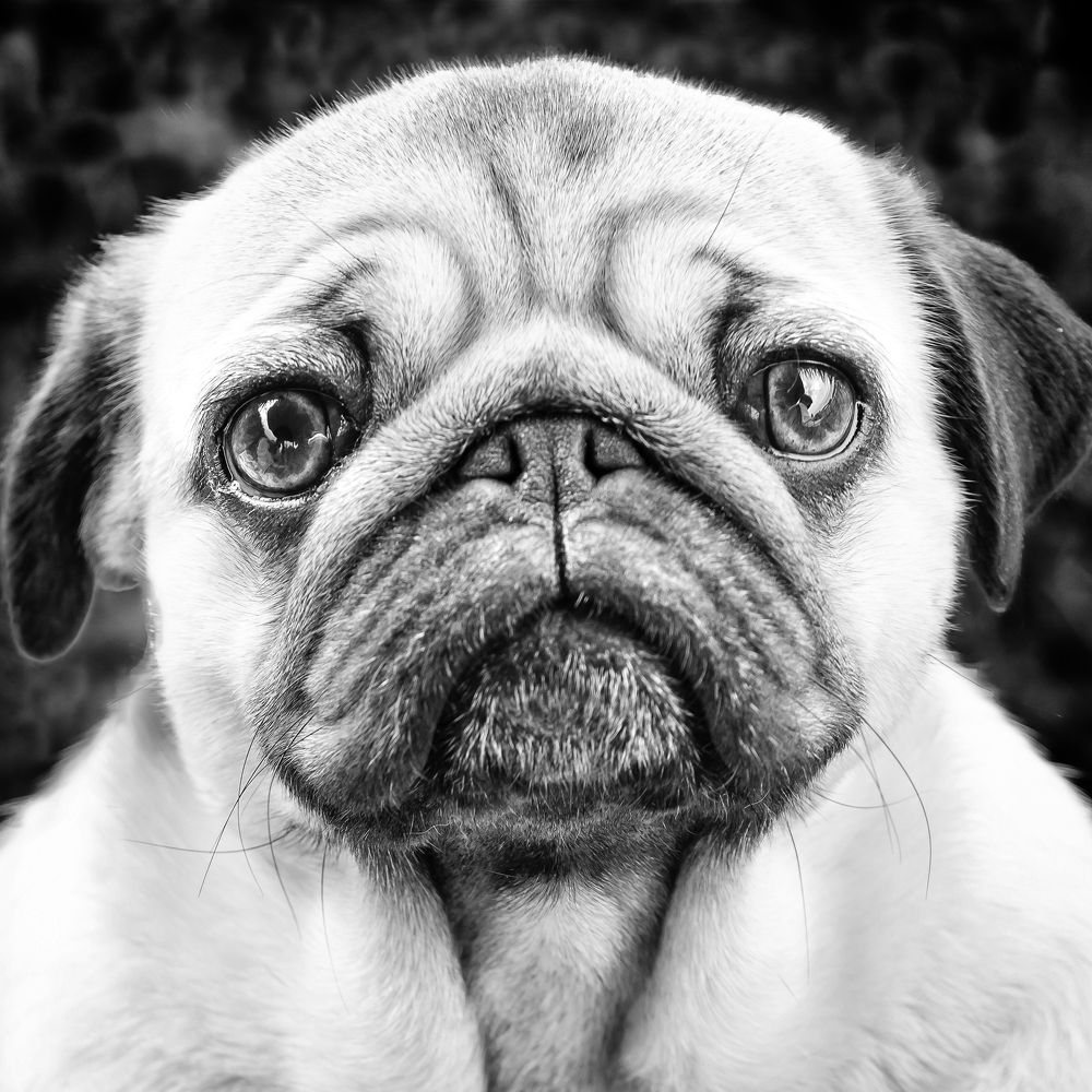 Детектор лжи