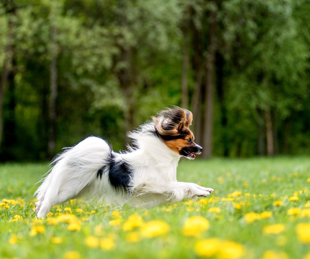 Photograph by Коптилина Галина