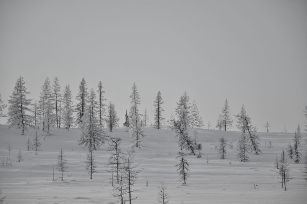 Photograph by Диана Куйбина