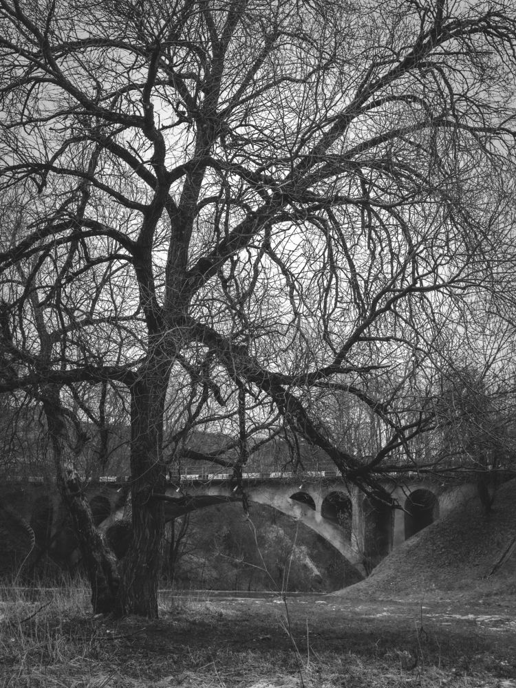 Photograph by андрей гусев