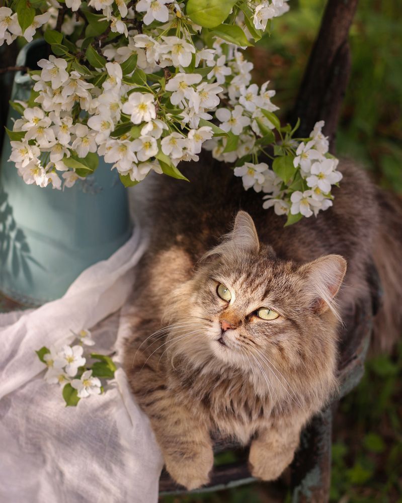 Photograph by Елена Никишина