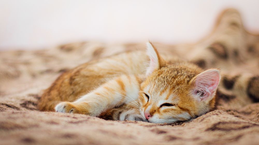 Photograph by Алексей