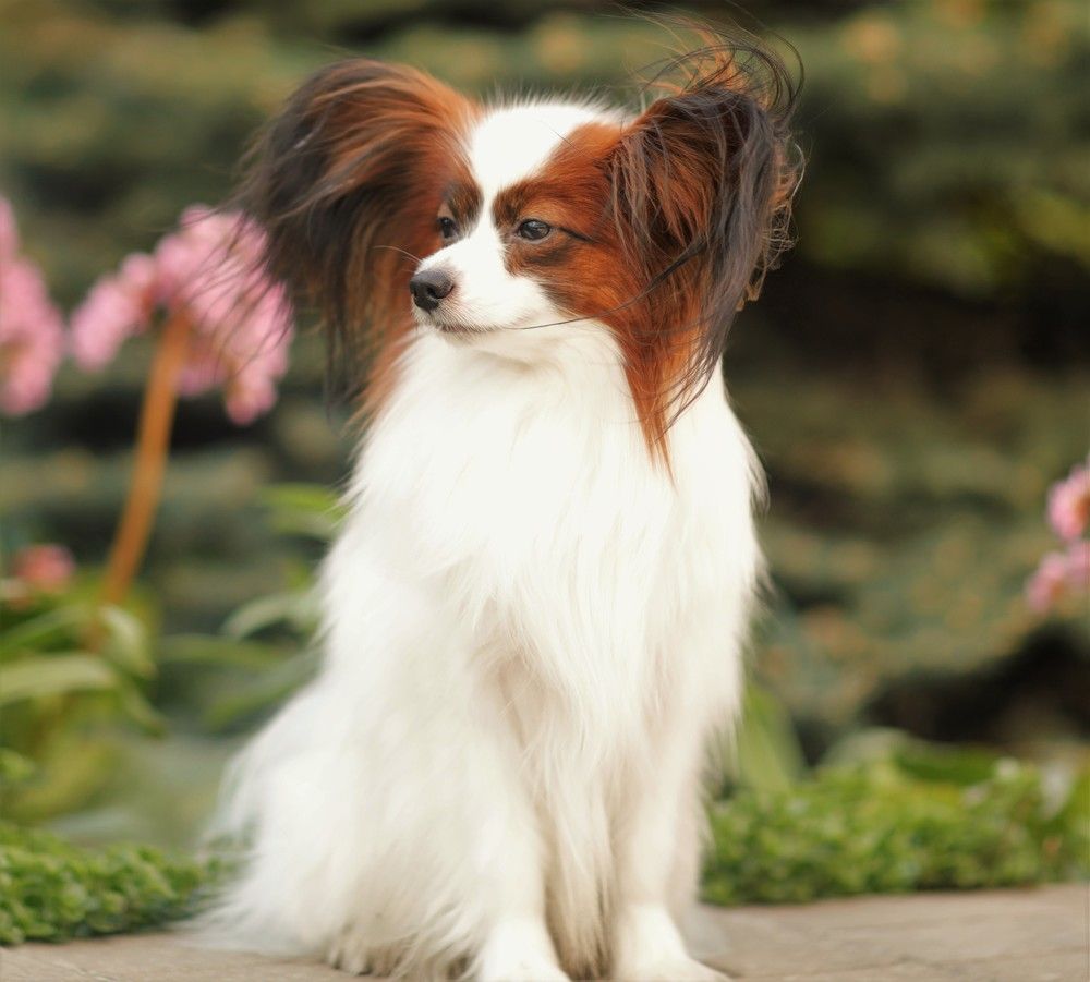 Photograph by Маргарита Антропова