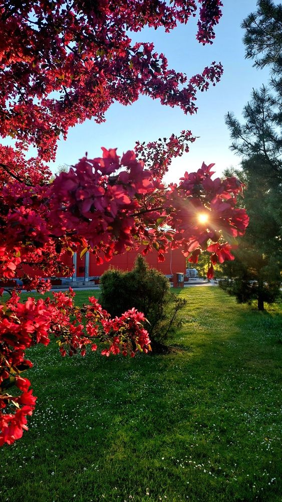 Photograph by Kristiina Soots