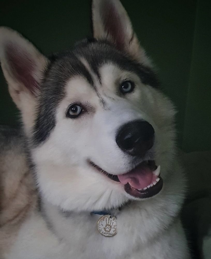 Фотография автора Юлия Таран