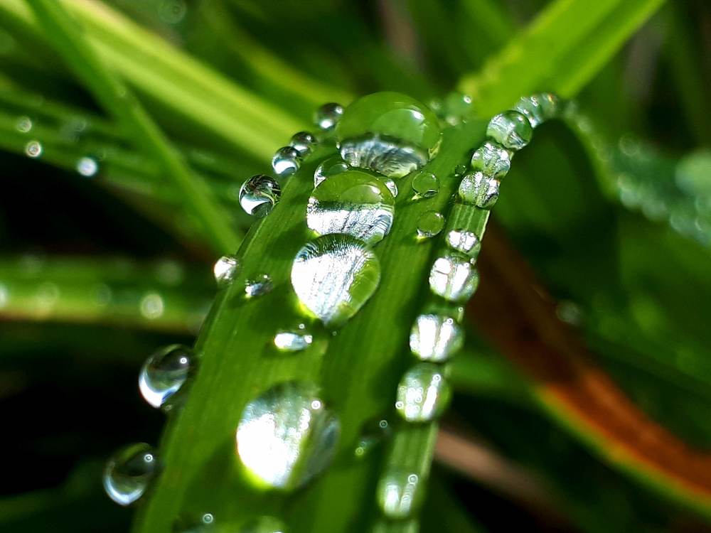 Photograph by Kristiina Soots