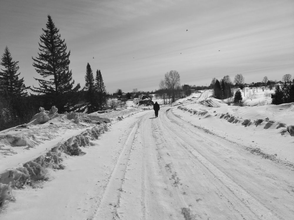 Photograph by Анатолий Майдуров