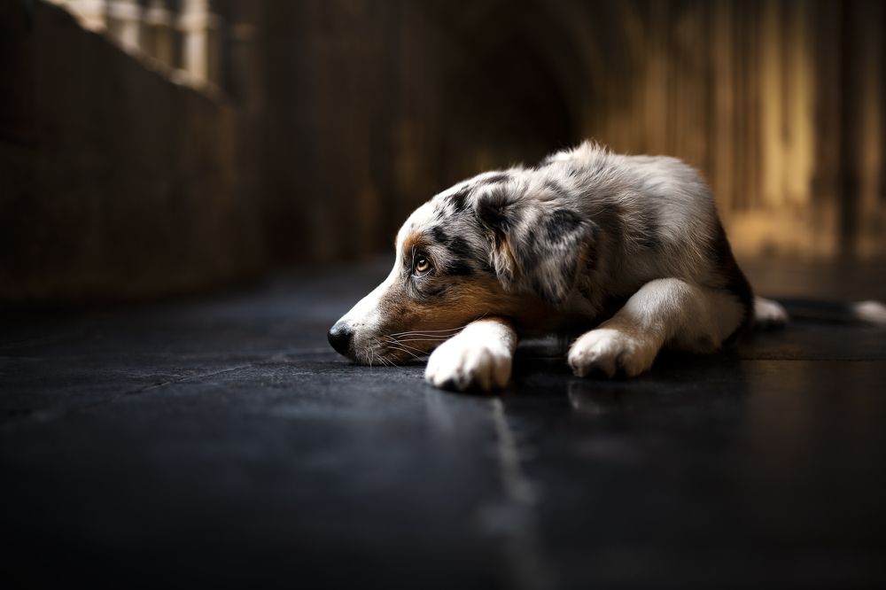 Photograph by Rut Casanellas