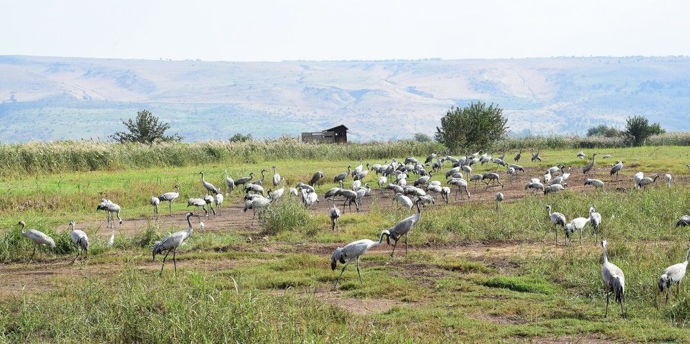 Photograph by Marina Eremin