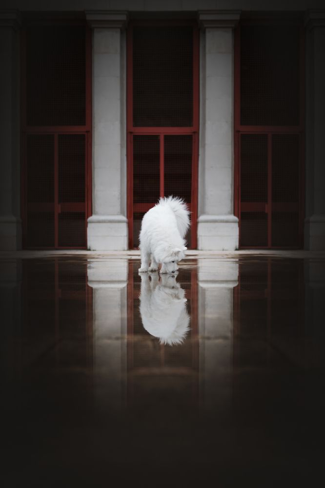 Фотография автора Rut Casanellas