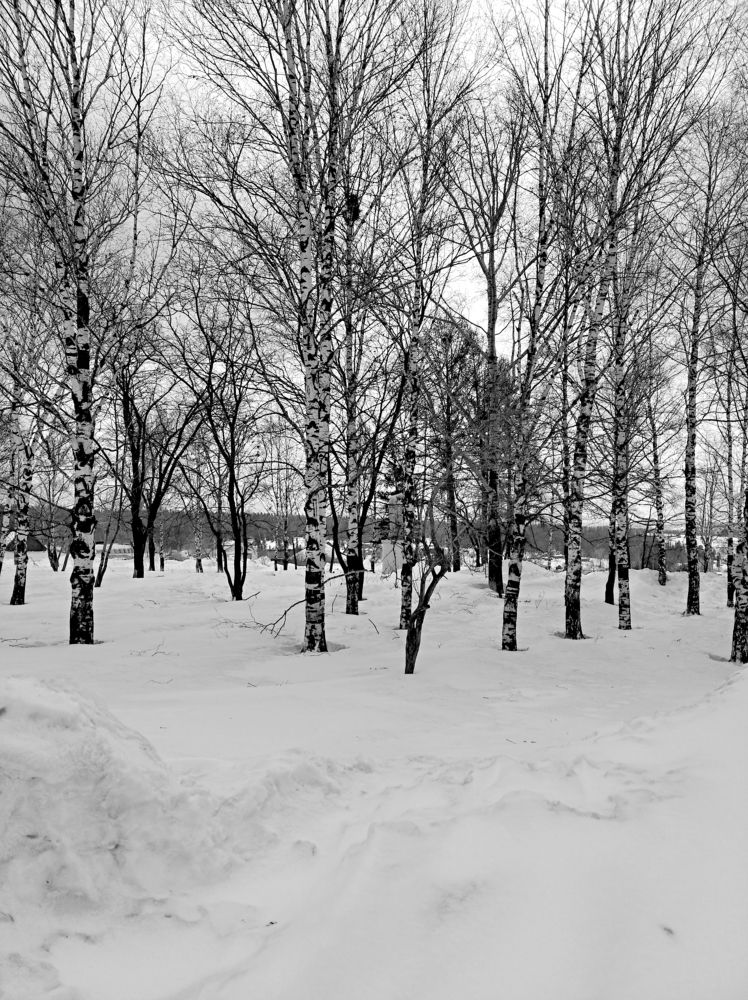 Photograph by Анатолий Майдуров