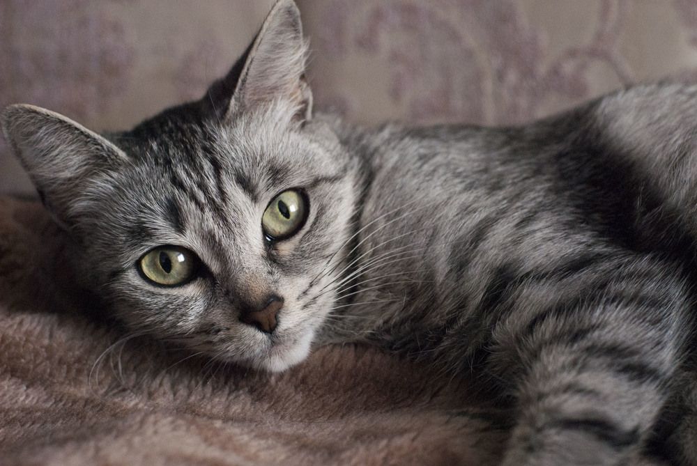 Photograph by Ольга Горбуличева