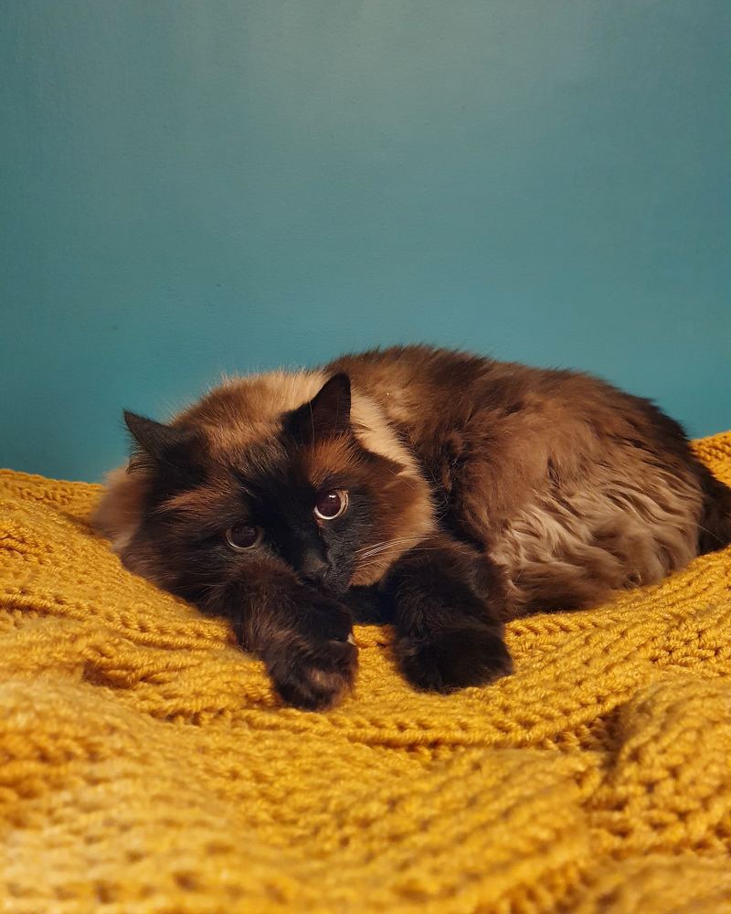 Фотография автора Юлия Таран