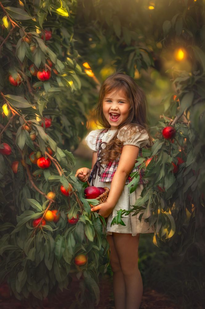 Photograph by yarden kaplan