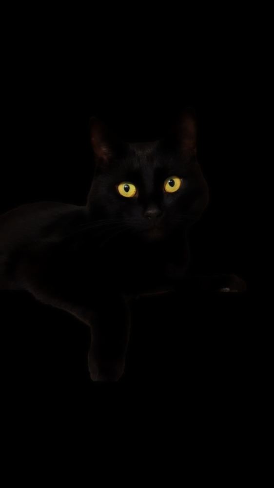 Фотография автора Юлия Таран