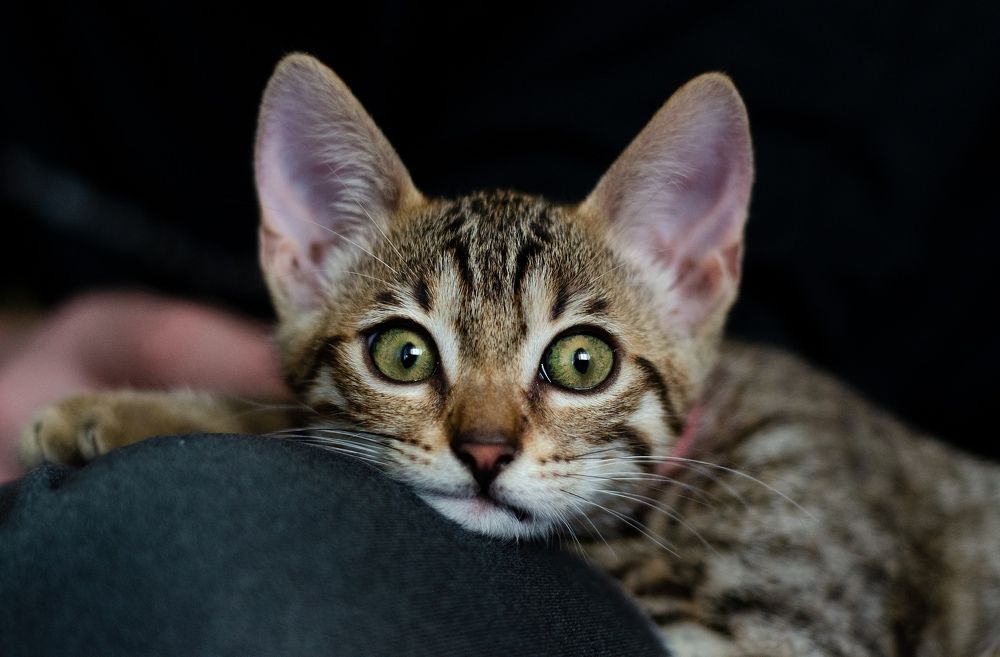 Photograph by Юлия Лупанова