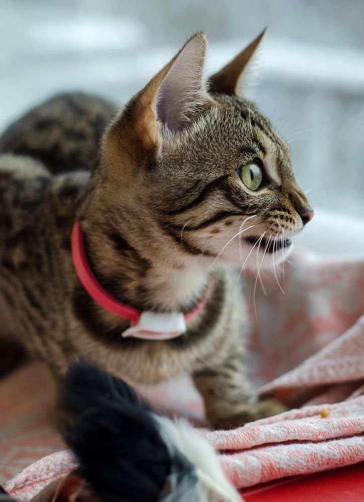 Photograph by Юлия Лупанова