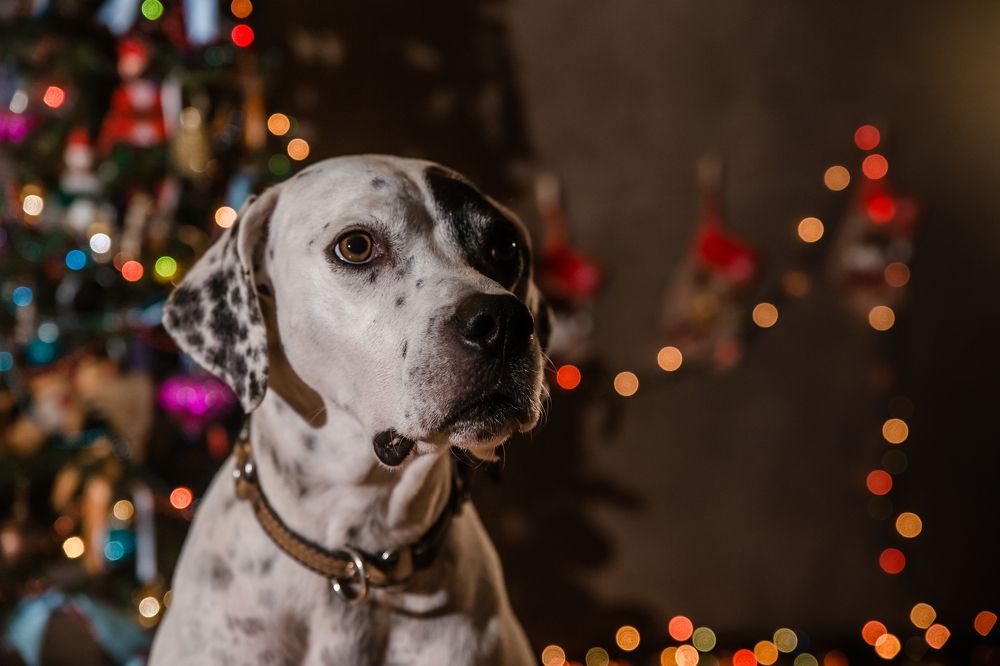 Photograph by Ирина Эрон