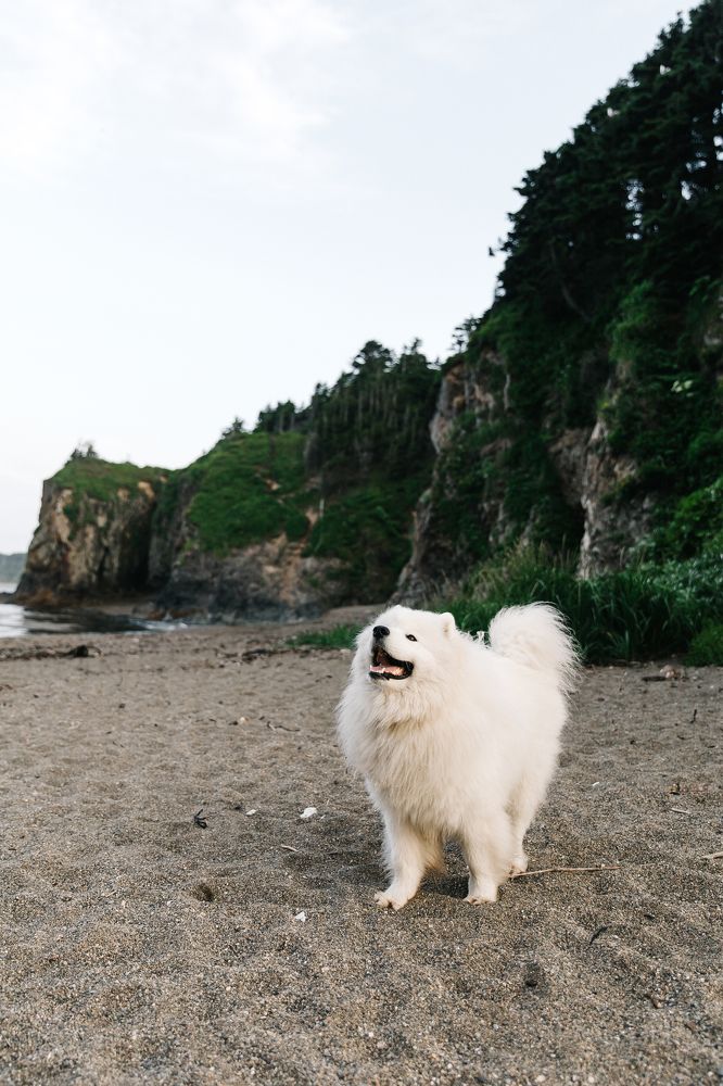 Photograph by Александр Петунин