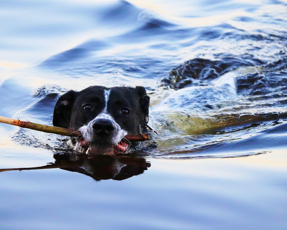 Photograph by Николай Круглов