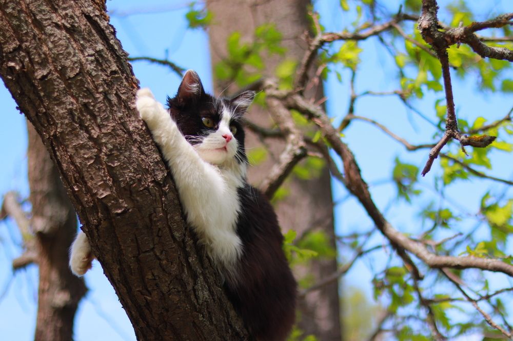 Photograph by Николай Круглов