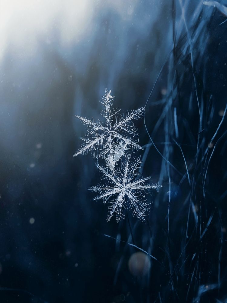 Photograph by Алсу Исмагилова