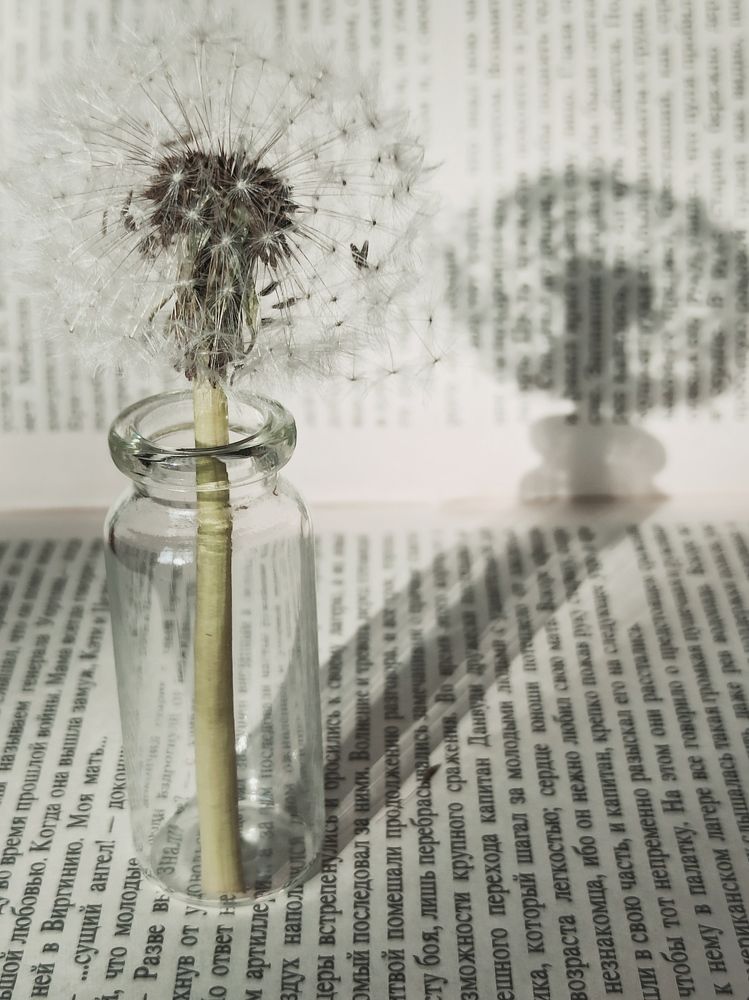 Photograph by Halina Mitsevich