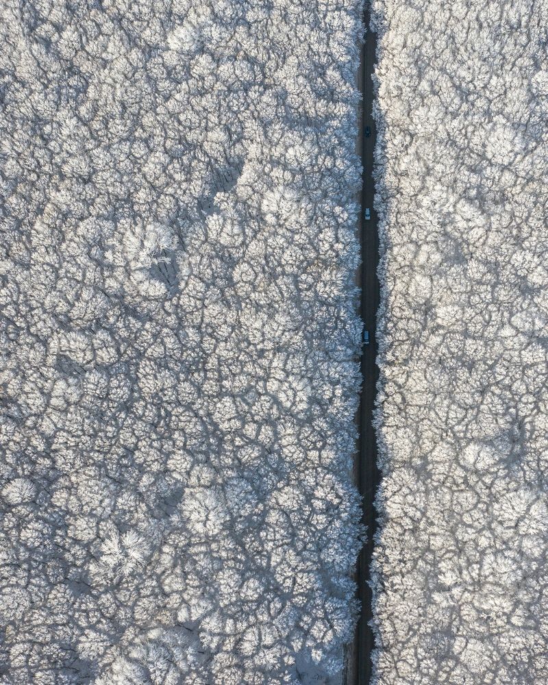 Photograph by Alexey Syukosev