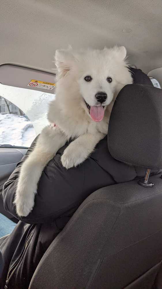 Photograph by Наталья Воронина