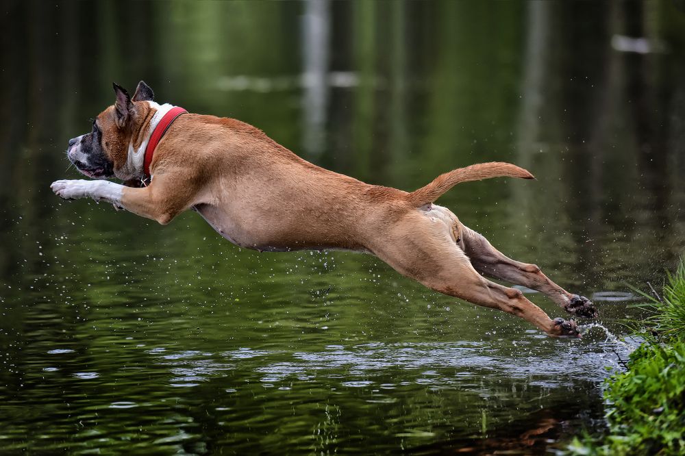 Photograph by Анна Кривицкая