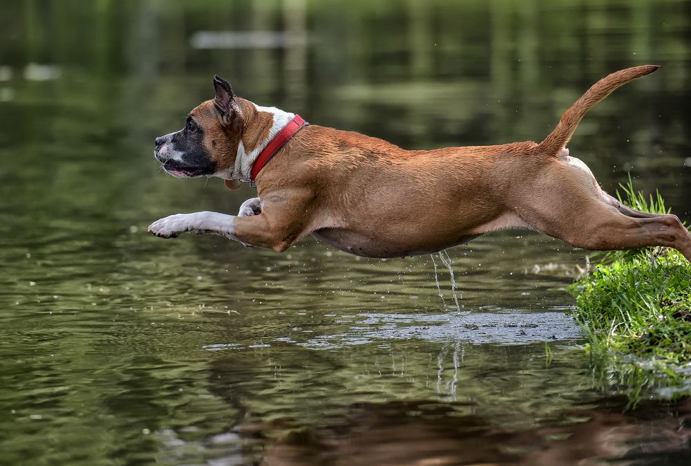 Photograph by Анна Кривицкая
