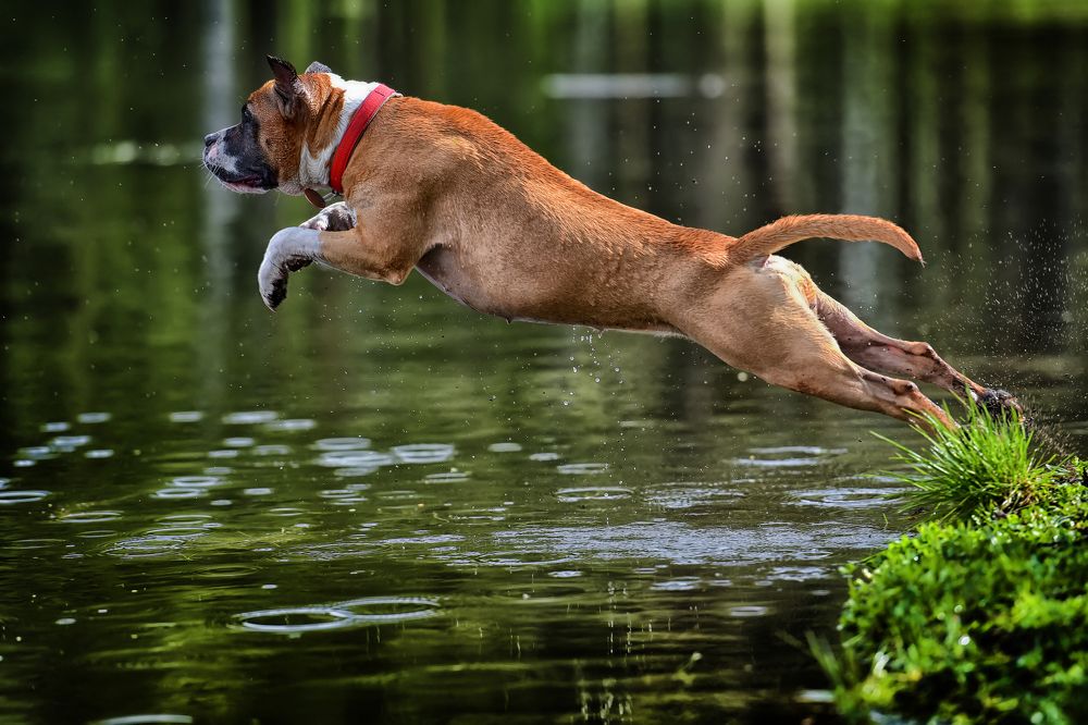 Photograph by Анна Кривицкая