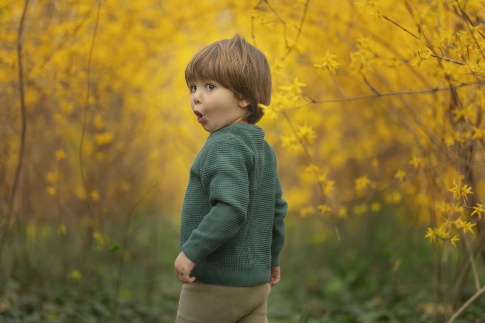 Photograph by Adi Kronkop