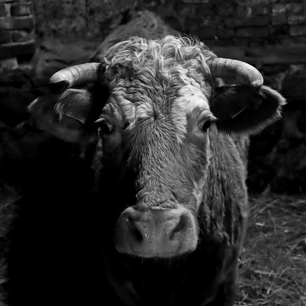 Фотография автора Сергей Барановский