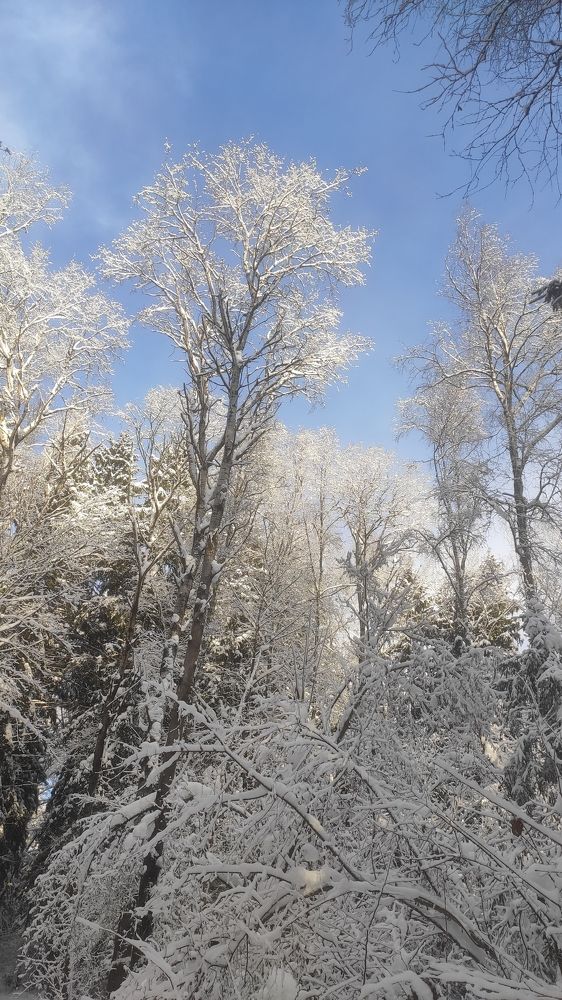 Photograph by Natalia Persidskaia