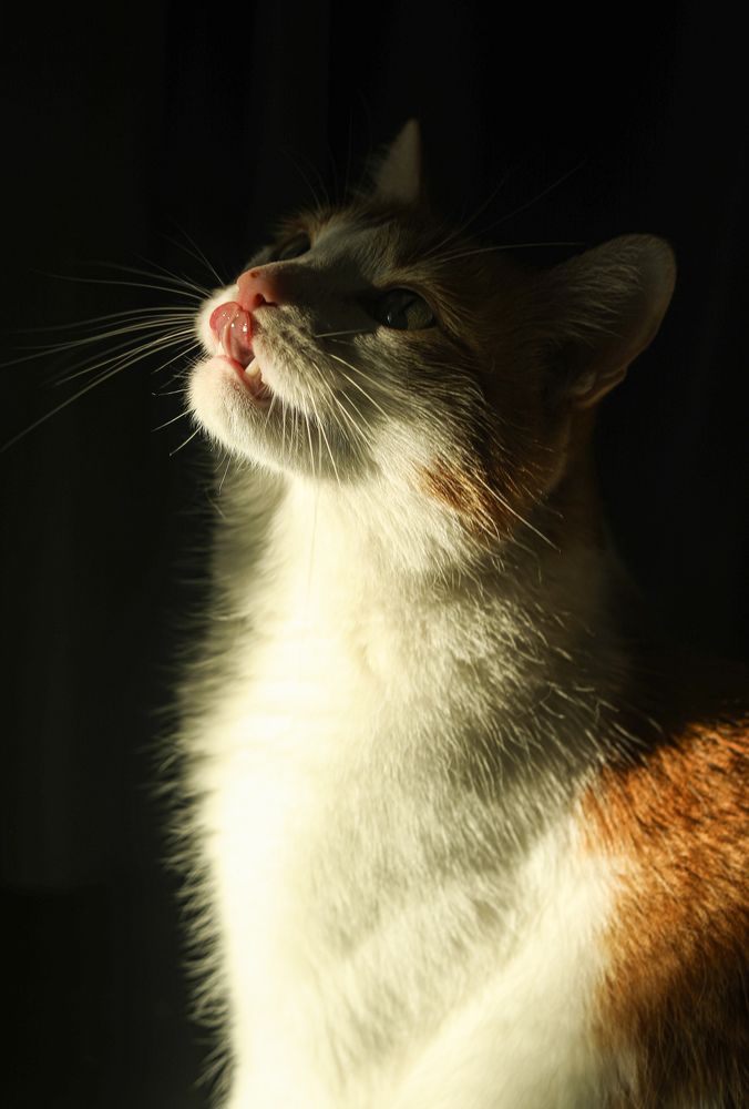 Photograph by Марина Савинская