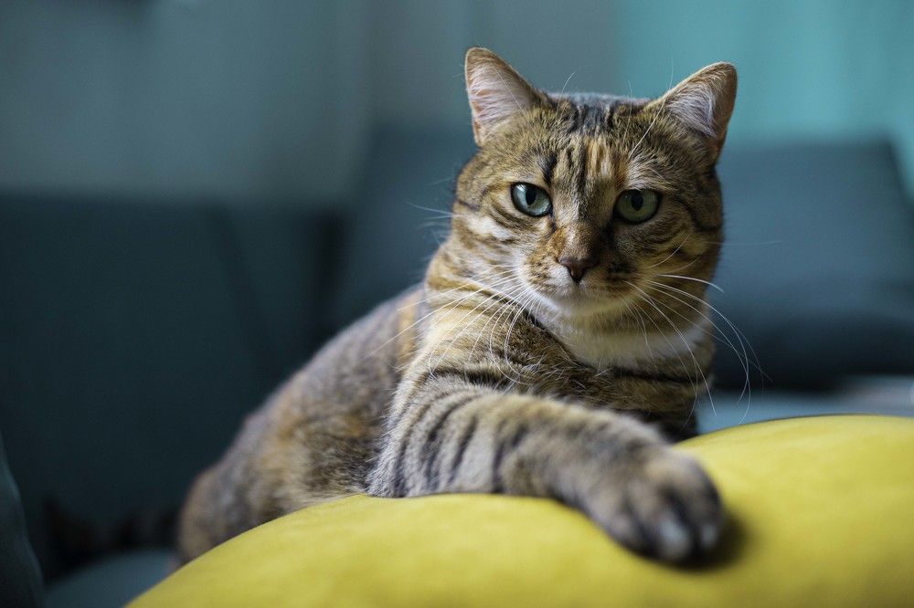 Photograph by Мария Мельничук