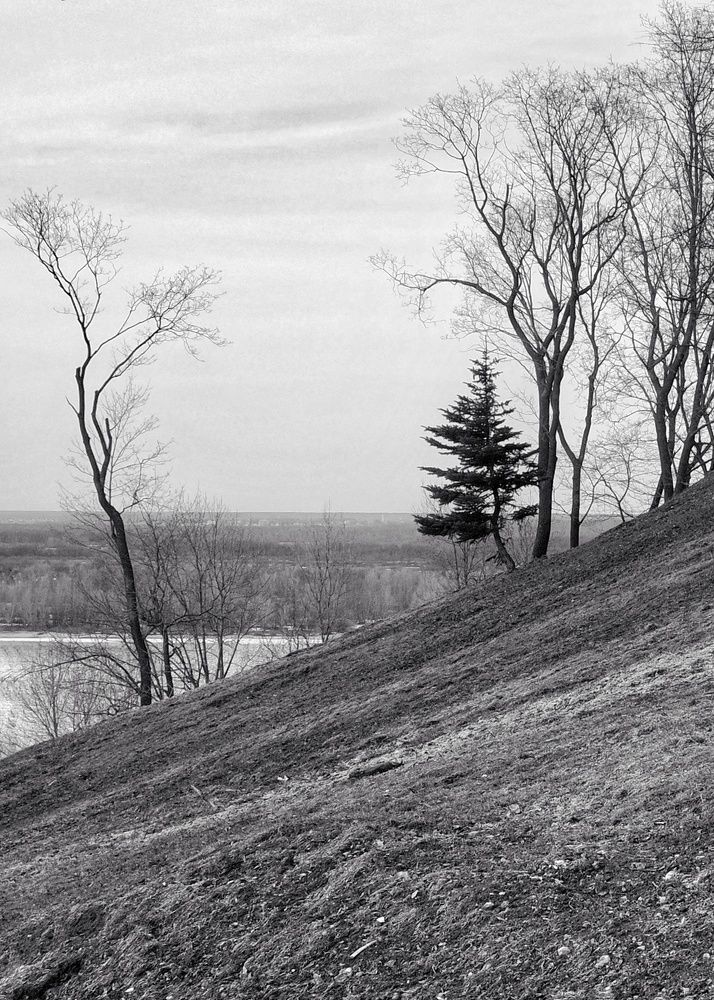 Photograph by Наталья Сафронова