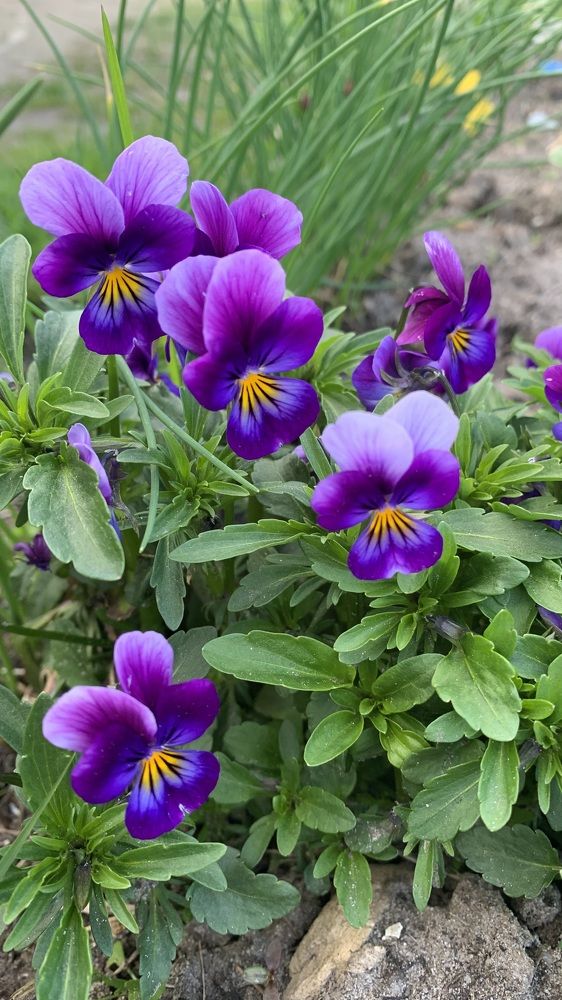 Photograph by Елена Киселева