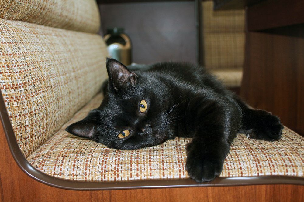 Photograph by Александр Пономарёв