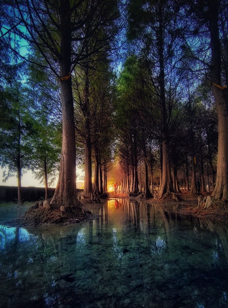 Photograph by Yi Tang Wang