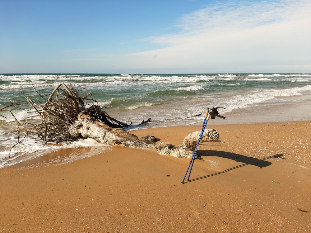 Photograph by Olga Smirnova