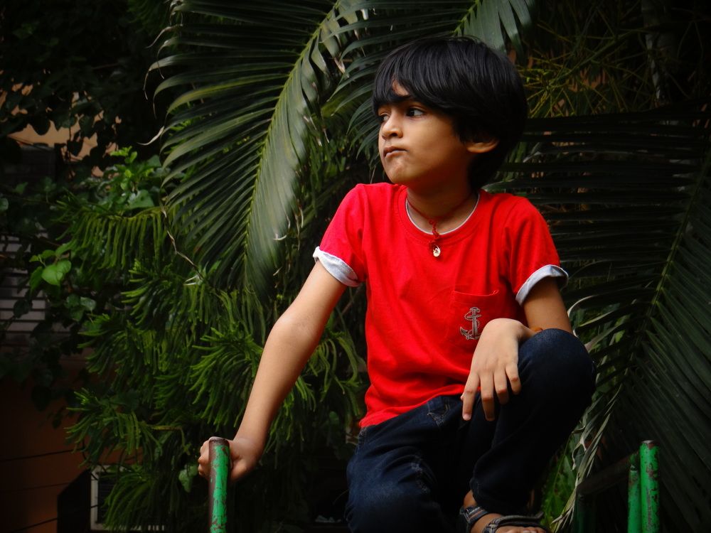 Photograph by Mitesh verma