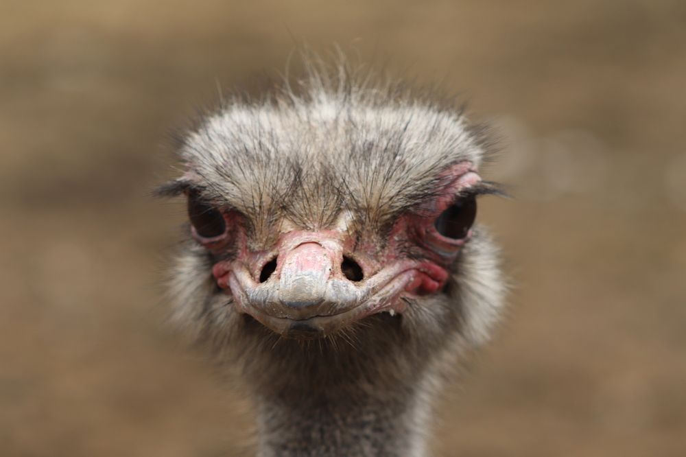 Photograph by Aleksey Zudin