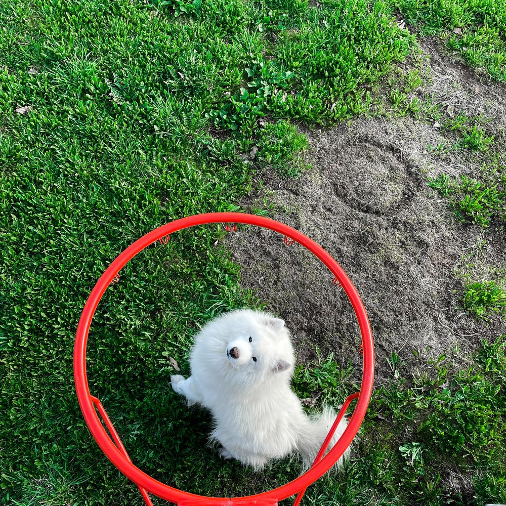 Photograph by Катя Филиппова