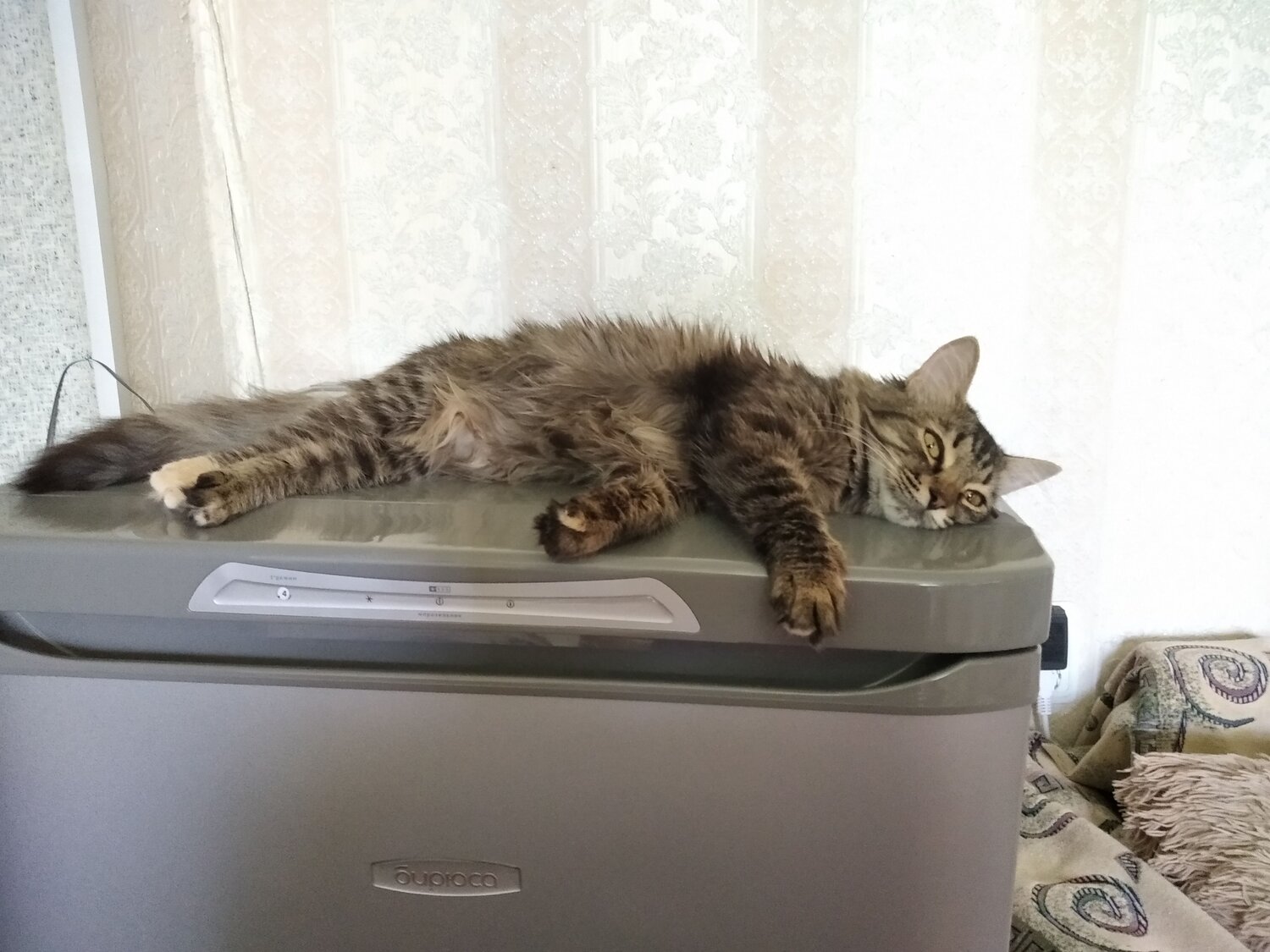 Photo #7602689